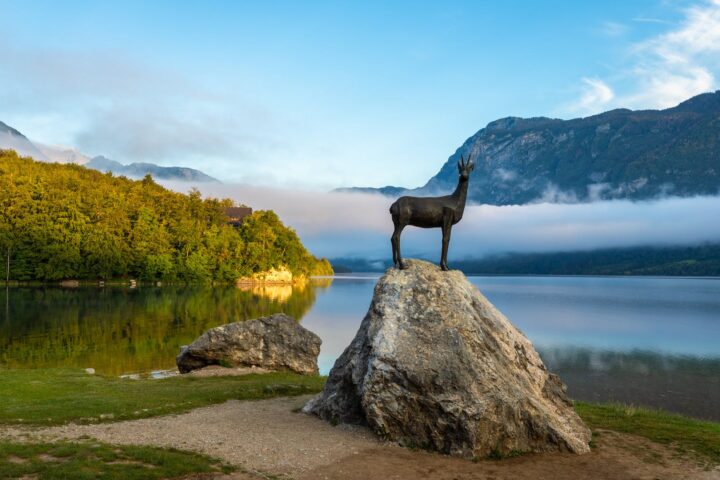 early morning view at lake bohinj in bohinj with the statue of goldhorn zlatorog on the rock