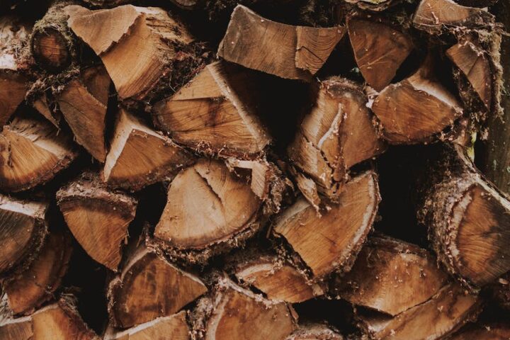 wooden logs prepared for production of lumber