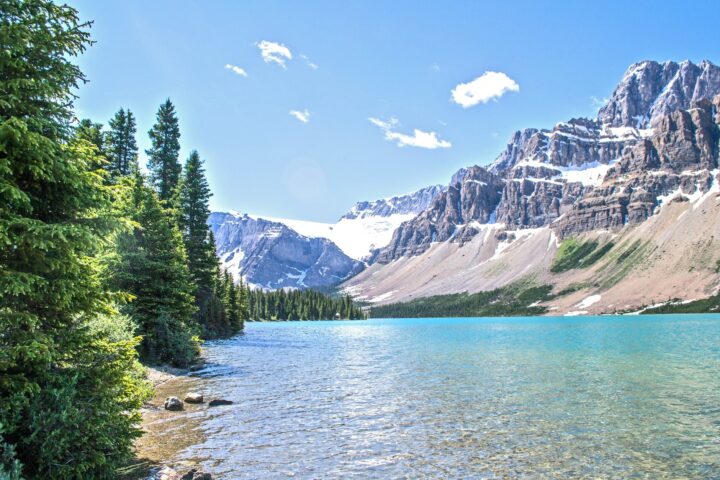 green trees near body of water